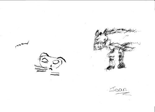 Norah - cat &amp; Jean - Horse